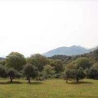 Land plot in Greece, Crete, Chania