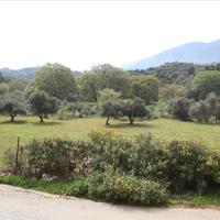 Land plot in Greece, Crete, Chania