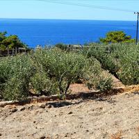 Другое в Греции, Крит, 300 кв.м.