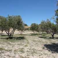 Земельный участок в Греции, Крит, Ираклион