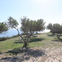 Земельный участок в Греции, Крит, Ираклион