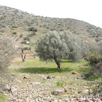 Land plot in Greece, Crete
