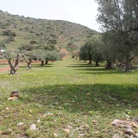 Land plot in Greece, Crete
