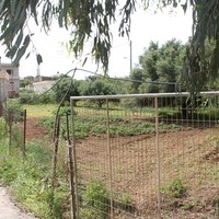 Land plot in Greece, Crete