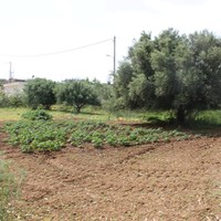 Land plot in Greece, Crete