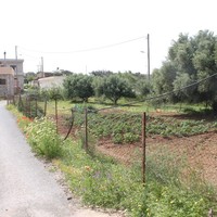 Land plot in Greece, Crete