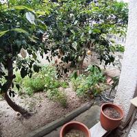 Другое в Греции, Крит, Ханья, 103 кв.м.