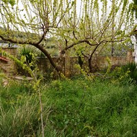 Бизнес-центр в Греции, Крит, 300 кв.м.