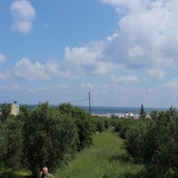 Земельный участок в Греции, Крит