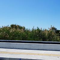 Земельный участок на Кипре, Лима