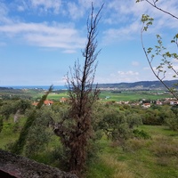 Townhouse in Greece, Central Macedonia, Center, 80 sq.m.