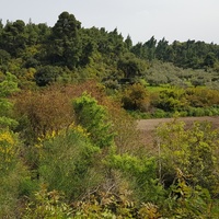 Land plot in Greece, Central Macedonia, Center