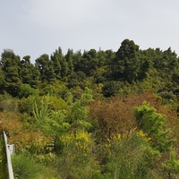 Land plot in Greece, Central Macedonia, Center