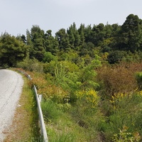Land plot in Greece, Central Macedonia, Center