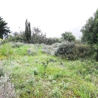 Земельный участок в Греции, Крит