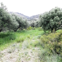 Земельный участок в Греции, Крит