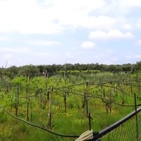 Land plot in Greece, Crete