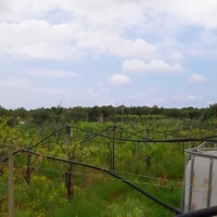 Land plot in Greece, Crete