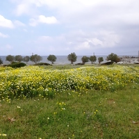 Land plot in Greece, Crete