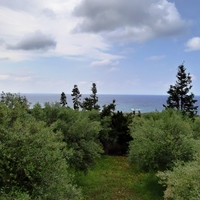 Land plot in Greece, Crete