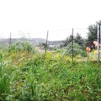 Land plot in Greece, Crete