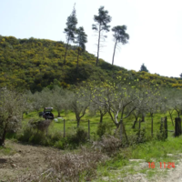 Land plot in Greece, Central Macedonia, Center