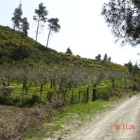 Land plot in Greece, Central Macedonia, Center