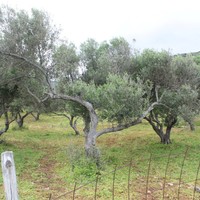 Земельный участок в Греции, Крит