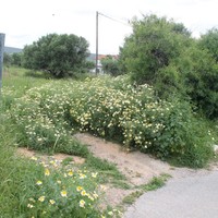 Land plot in Greece, Crete, Irakleion