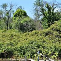 Land plot in Greece, Ionian Islands