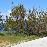 Земельный участок в Греции, Ионические острова