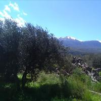 Земельный участок в Греции, Крит, Ханья