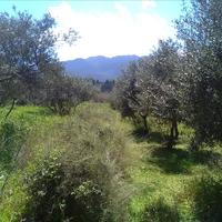 Земельный участок в Греции, Крит, Ханья