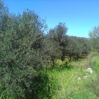 Земельный участок в Греции, Крит, Ханья