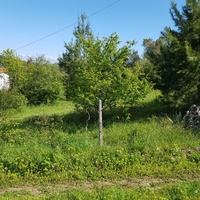 Land plot in Greece, Central Macedonia, Center