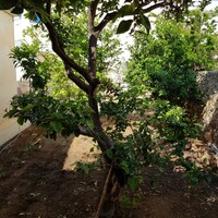 Other in Greece, Crete, 90 sq.m.