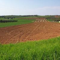 Land plot in Greece, Central Macedonia, Center