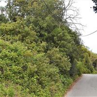 Land plot in Greece, Ionian Islands