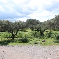 Земельный участок в Греции, Крит, Ираклион