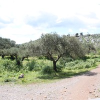 Земельный участок в Греции, Крит, Ираклион