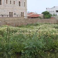Land plot in Greece, Crete, Irakleion