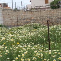 Land plot in Greece, Crete, Irakleion