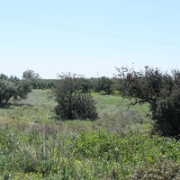 Land plot in Greece, Crete