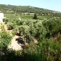 Земельный участок в Греции, Крит, Ханья