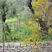 Flat in Greece, Ionian Islands, 80 sq.m.