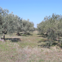 Land plot in Greece, Central Macedonia, Center