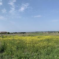 Land plot in Greece, Central Macedonia, Center, 3500 sq.m.