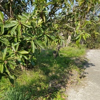 Other in Greece, Central Macedonia, Center, 50 sq.m.