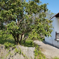 Other in Greece, Central Macedonia, Center, 50 sq.m.