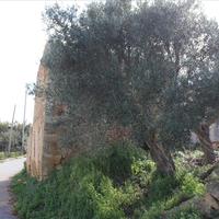 Земельный участок в Греции, Крит, Ханья